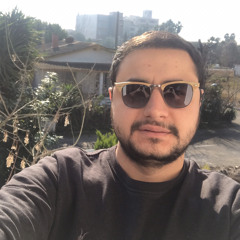 Hadi Shrzn