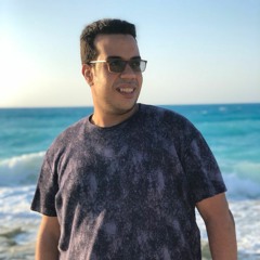 Hossam Abo Elkhier