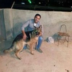 Ahmed Ismail