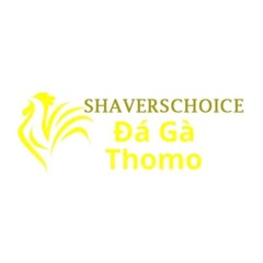 Đá Gà Trực Tiếp Thomo