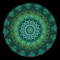 Planet GRN