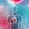 Breathwork w/ Zev & Dean