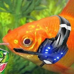 Gamer Fish
