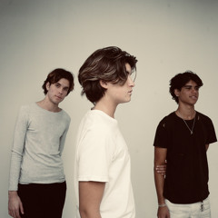 The Borin Brothers