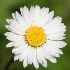 Ashley132_3