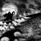 Guts