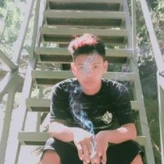 Fts Ardi