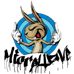 MicrøWaVe