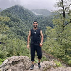 hossein afshani