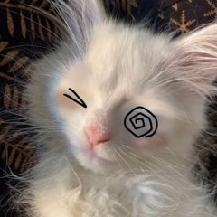 Leucistic