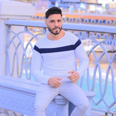 badr eldeen