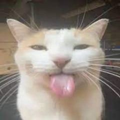 NN