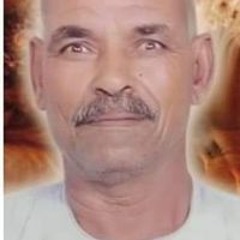 جمال انور نصر