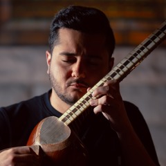 Ali Arshi