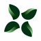 GreenTech - horticulture technologies