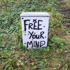 Han 🌞🌻🏴󠁧󠁢󠁳󠁣󠁴󠁿