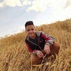 Omar Nema