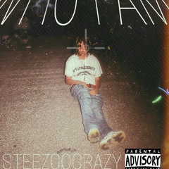 steezgocrazy