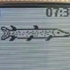 mf trout