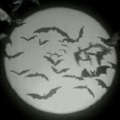 ♤ 𝔍𝔞𝔢𝔪𝔬𝔫13 ♤