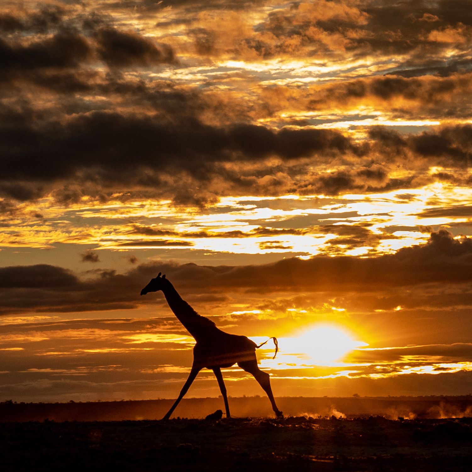 聆聽非洲的聲音-肯亞生態永續路
