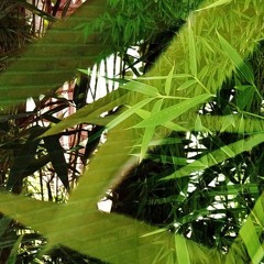 ₚᵢᶜₜᵤᵣₑ ᵂᵢₙᴰₒᵂ