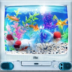 stuck with me frutiger areo