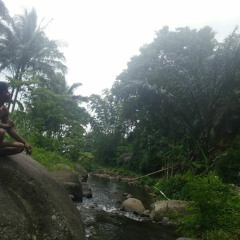 M Cipto Nugroho