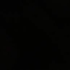 D3MONS 2088