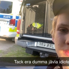 alexander.nilzzon42