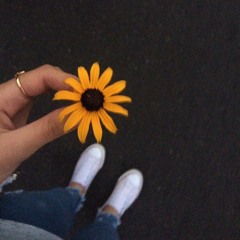 Ispocetka _ivana Boom Nikolić