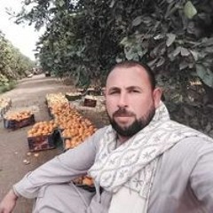 Mahmoud Samy
