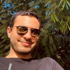 Mohamed Fayek