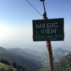 Magic View