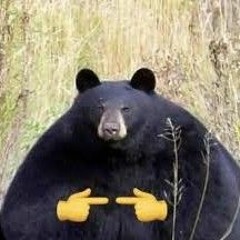 afatbear