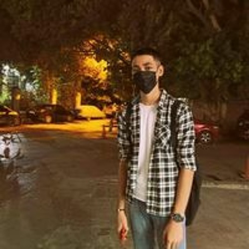 Ahmed Ramzy’s avatar