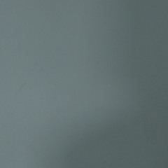 avec