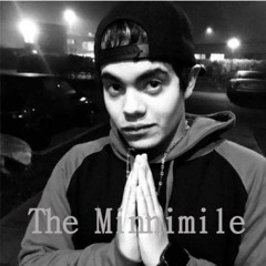 The Minnimile