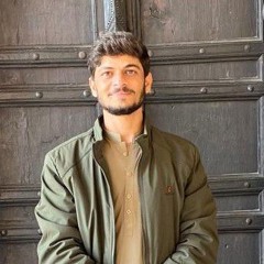Israr zehri
