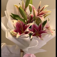 lilly