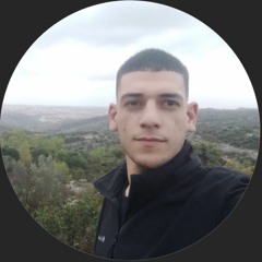 דוד כהן 2