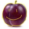 Plum Z