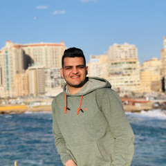 Abdelrahman Alaa