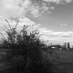 Rio Negro Underground