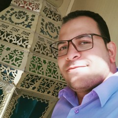 Muhamed Diab Ali