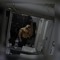 Ahmed Hamdy