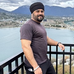 Raja padda