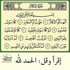 Alaa Ahmed Elnger
