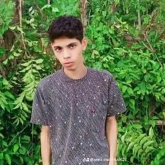 Amiruddin Renanaldi