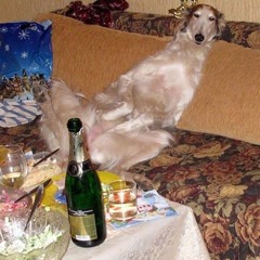 прикол